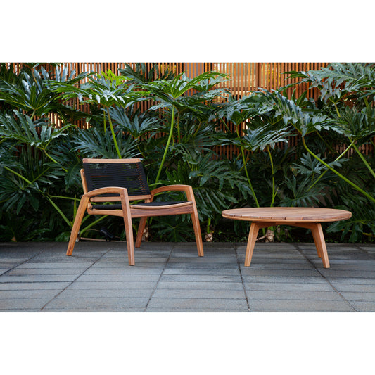 Silla Velo Con Brazo