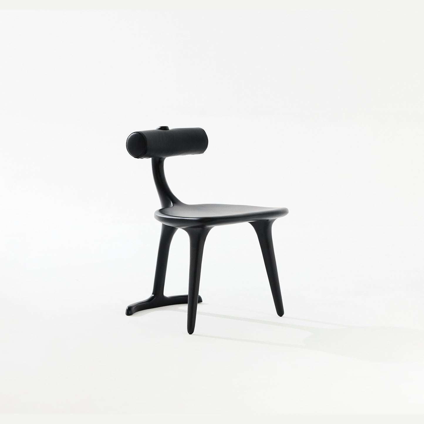 Silla Barbatana