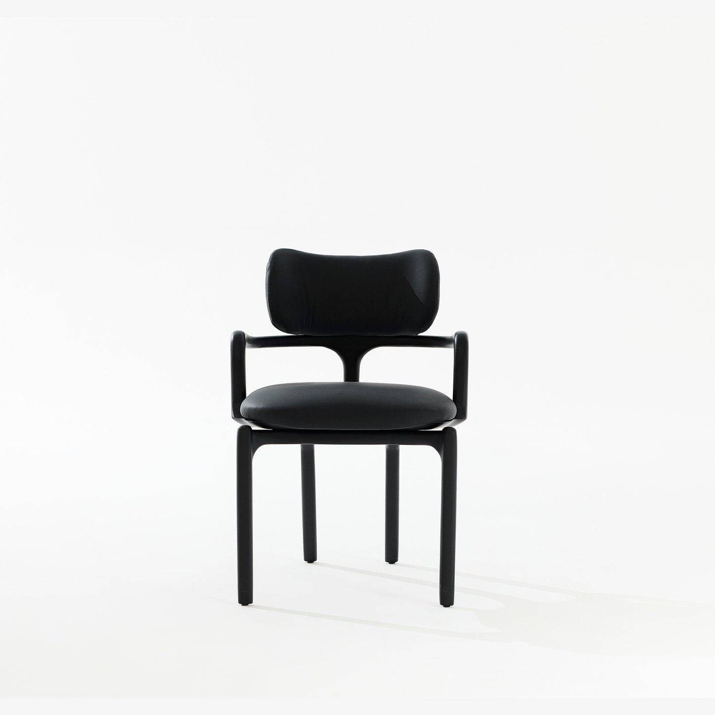 Silla Raiz