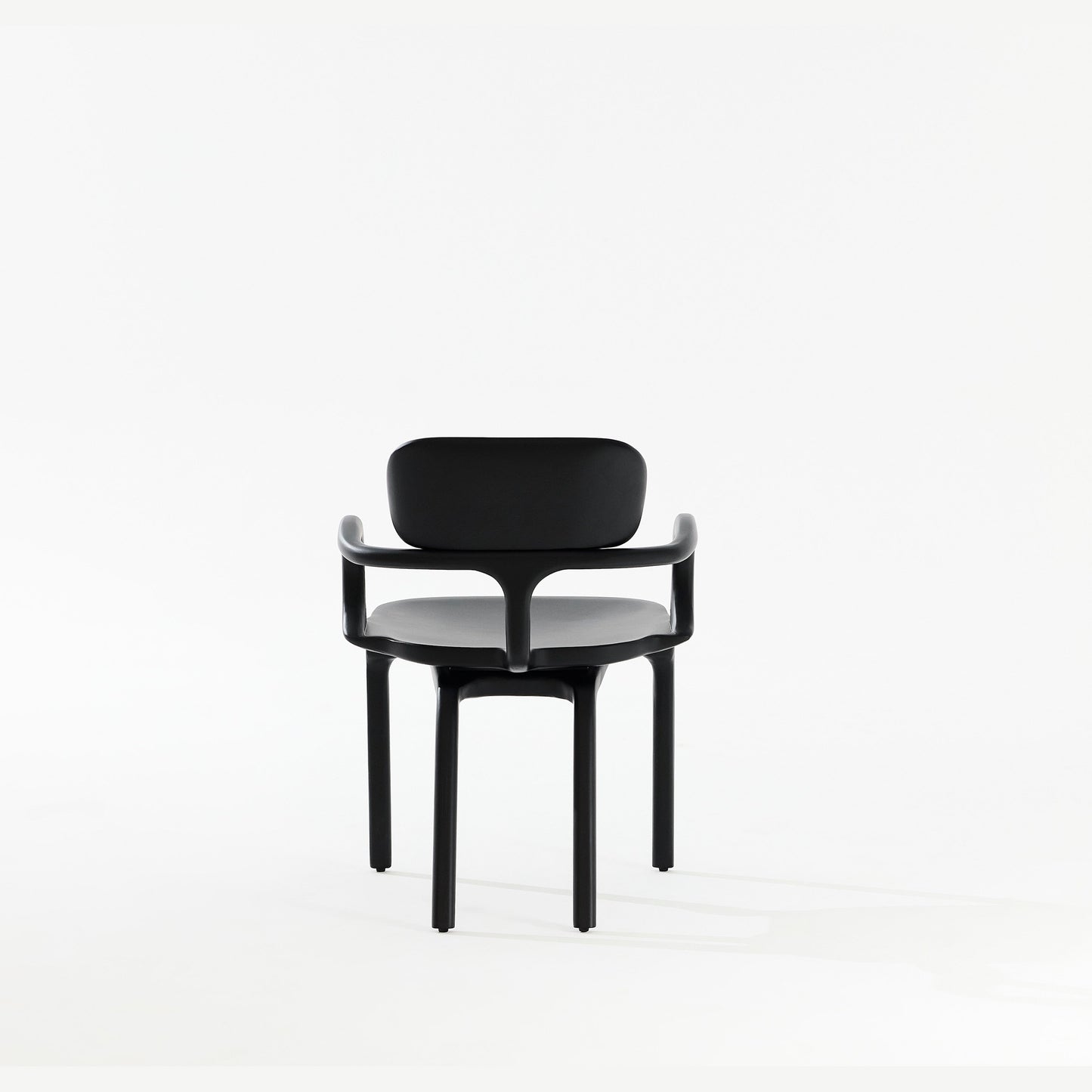 Silla Raiz