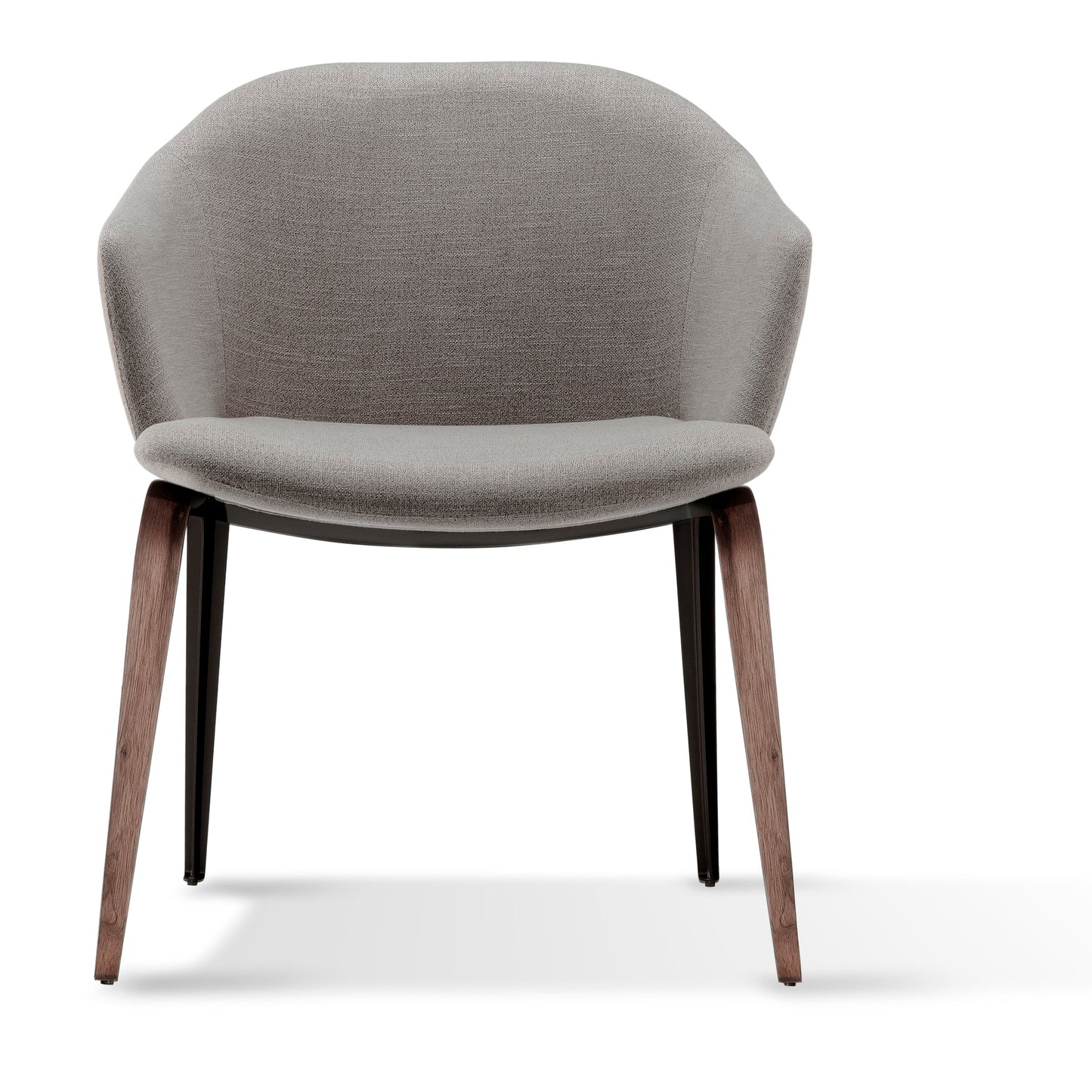 Silla Lison