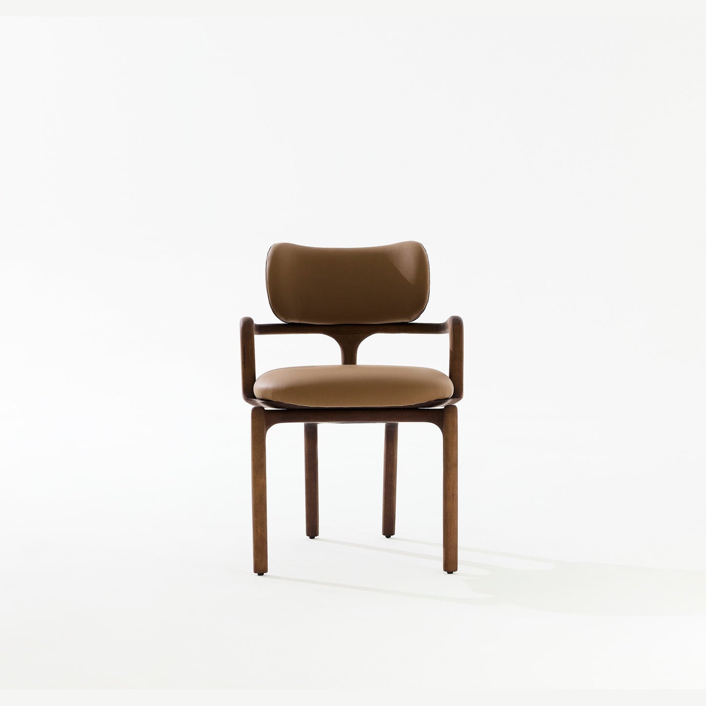 Silla Raiz