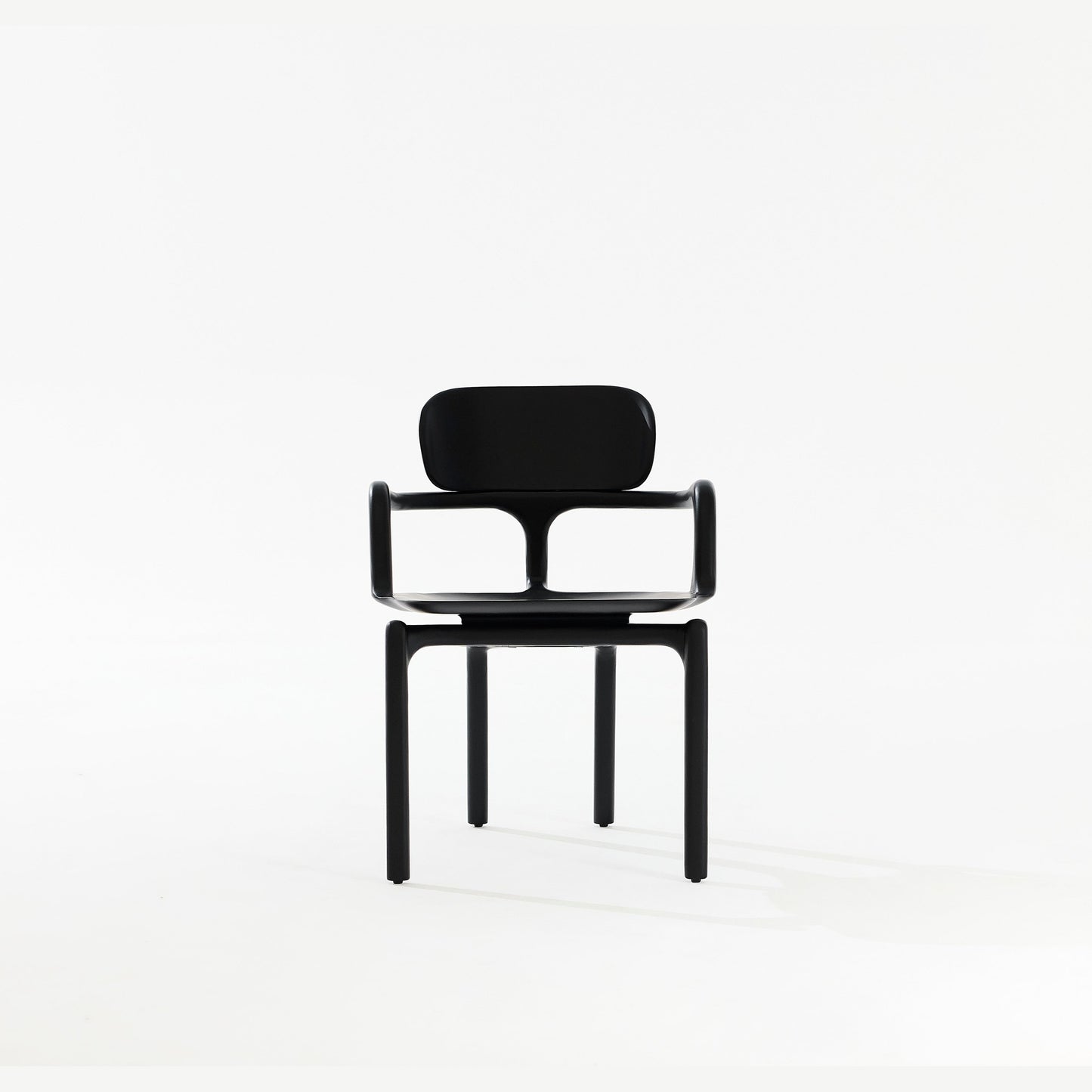 Silla Raiz