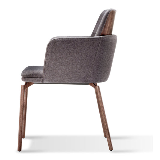 Silla Halox