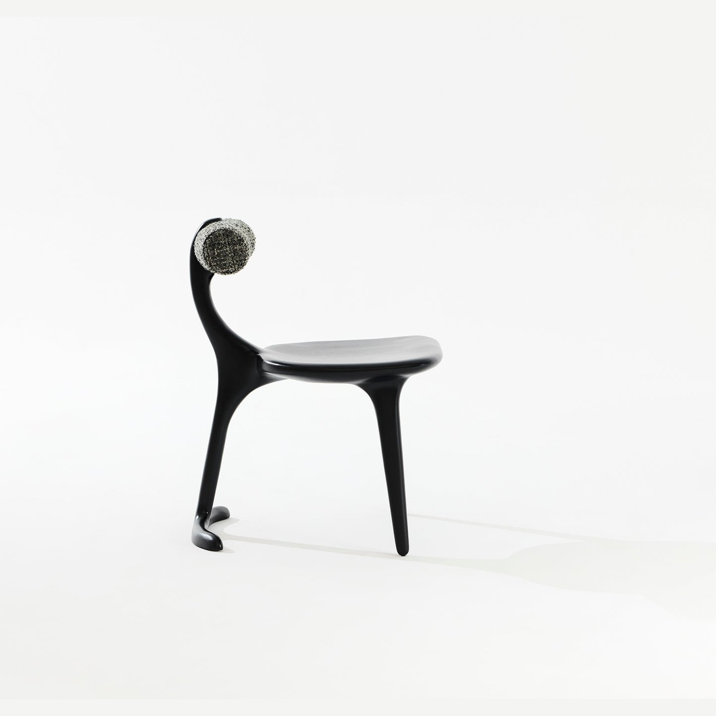 Silla Barbatana